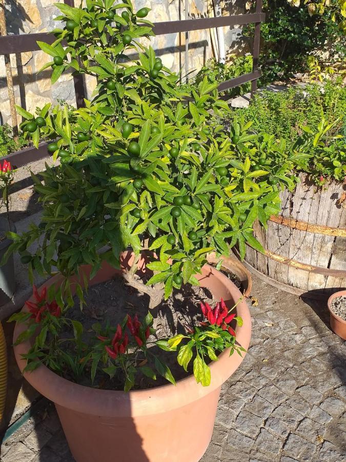 Appartamento House Ida Scafati Buitenkant foto